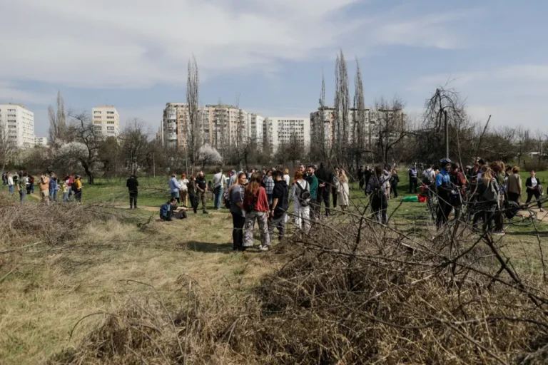 Inițiative civice cu rezultate concrete - cum schimbă comunitățile România